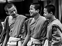 2015-04-27-6138 web 240  Laos Monks Luang Prabang